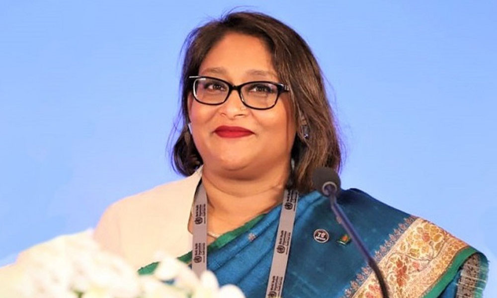 মিথ্যা তথ্য দিয়ে বিশ্ব স্বাস্থ্য সংস্থায় চাকরি, পুতুলের নামে মামলা